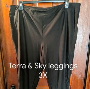 Terra & Sky leggings 3X